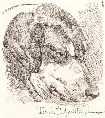 Dog Head, Terry by Johan Lundbye
