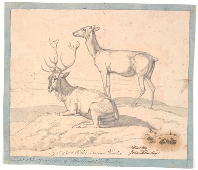 A Lying Deer and a Standing Hind by Johan Thomas Lundbye
