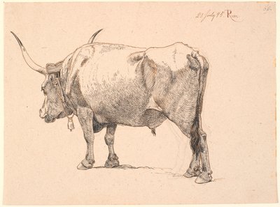 Roman bull with bell around neck, seen from behind by Johan Thomas Lundbye