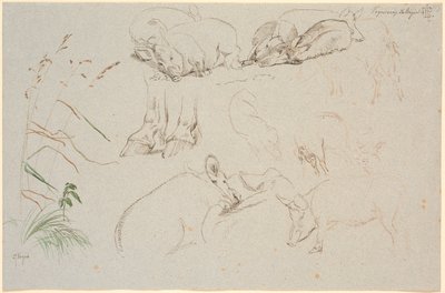 Study Sheet from Vognserup. Various Studies of Pigs. A Study of a Pair of Horse Hooves. A Study of a Dog