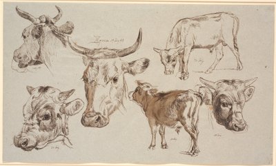 Study Sheet from Vognserup. Studies of Cow Heads, Bull Calves and Their Heads by Johan Thomas Lundbye
