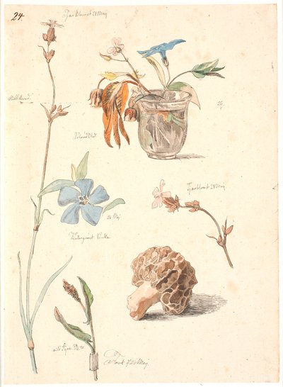 Study Sheet with Flowers and Plants by Johan Thomas Lundbye