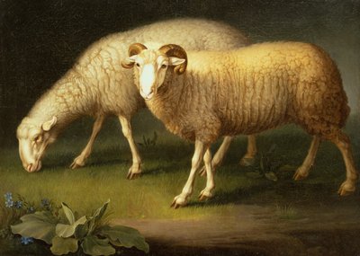 A Ram and Sheep by Johan Wenzel Peter