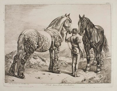 Black Horses from Lincolnshire by Johann Adam Klein