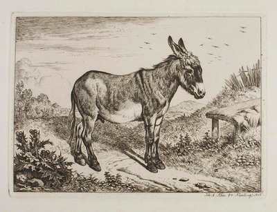Donkey by Johann Adam Klein