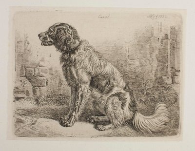 Untitled by Johann Adam Klein