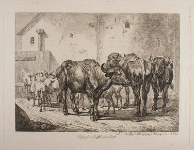 Hungarian Buffaloes and Sheep by Johann Adam Klein
