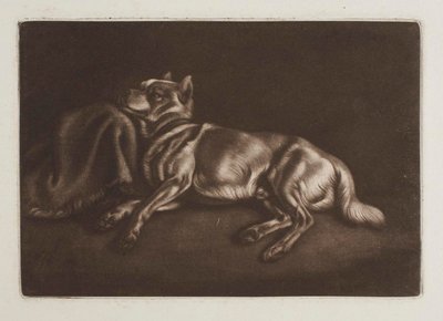 Spitz-Type Dog by Johann Adam Klein