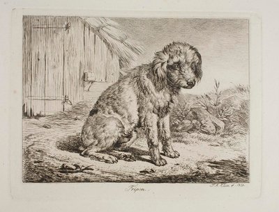 The Poodle Fripon by Johann Adam Klein