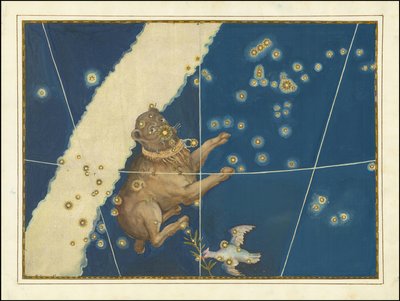 Canis Major - Johann Bayer by Johann Bayer