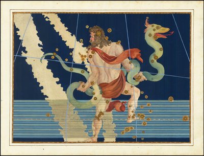 Ophiuchus and Serpentarius by Johann Bayer