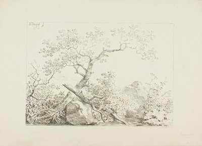 Trees and Rocks by Water by Johann Christian Klengel