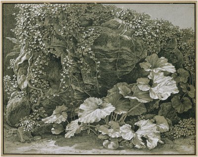 Large Leaf Plants in an Ivy-Covered Rock Grotto by Johann Christian Reinhart