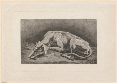 Sleeping Greyhound by Johann Christian Reinhart