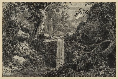Waterfall in the Forest by Johann Christoph Erhard