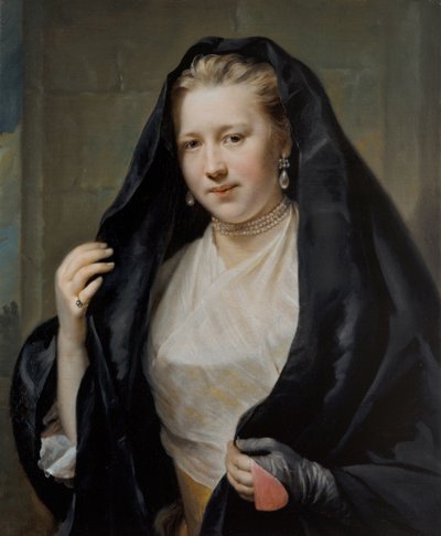 Portrait of an Elegant Lady by Johann Georg Ziesenis