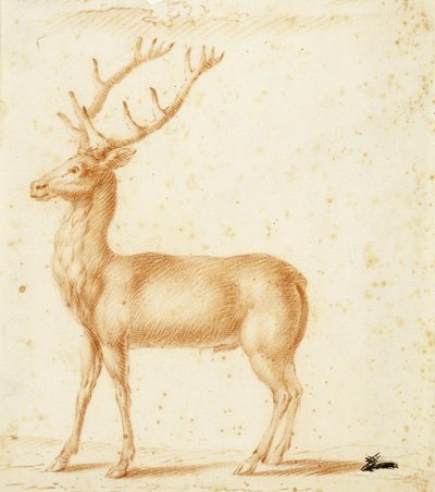 A Stag by Johann Heinrich Roos