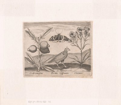 Series of Prints with Flowers and Animals in a Landscape by Johann Hogenberg