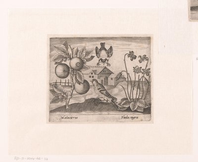 Series of Prints with Flowers and Animals in a Landscape by Johann Hogenberg