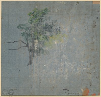 Tree Studies by Johann Jacob Dorner