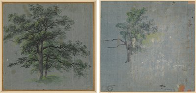 Two Trees (recto) Tree Studies (verso) by Johann Jacob Dorner