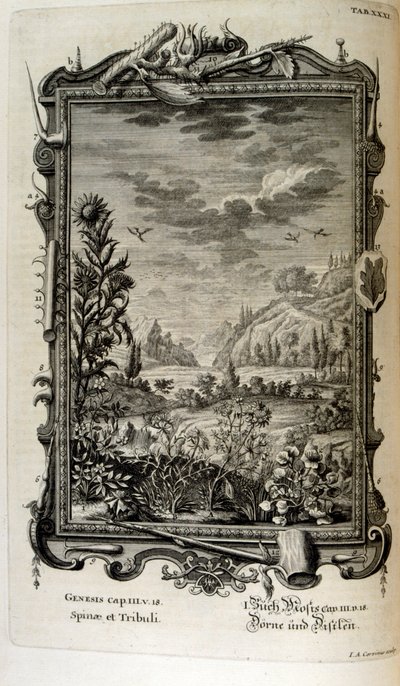 Copperplate Engraving from 