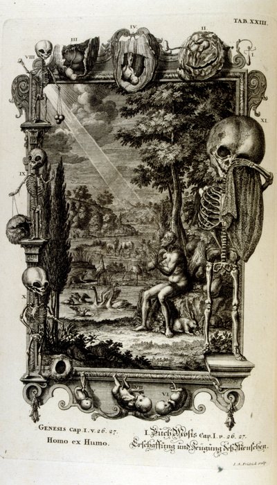 Copperplate Engraving from 