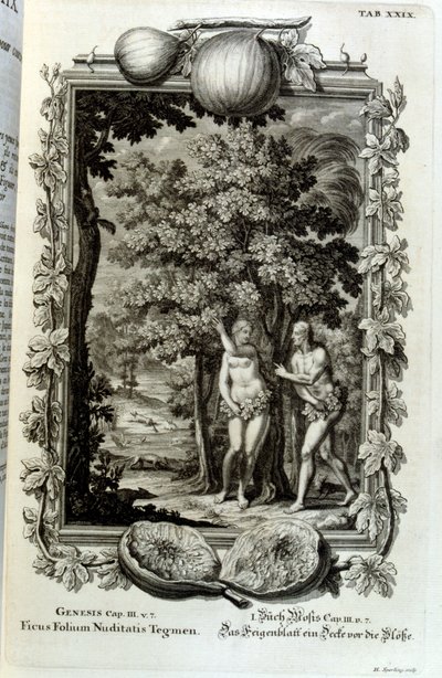 Copperplate Engraving from 