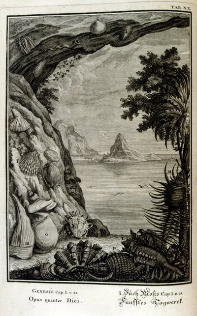 Copperplate engraving from 