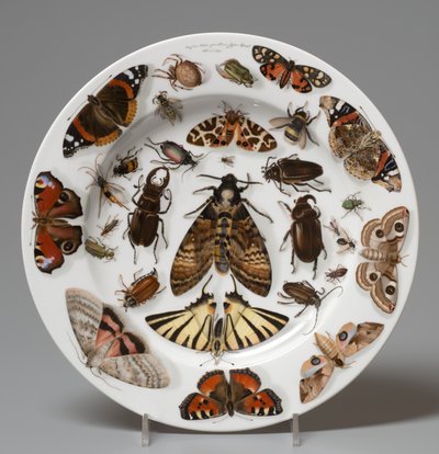 Plate, Lippert & Haas, Schlaggenwald by Johann Quast
