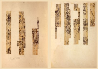Fragmentary Celestial Globe Gores by Johann Schöner
