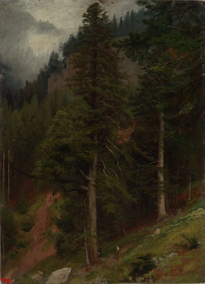 Slope in the Fir Forest by Johann Wilhelm Schirmer