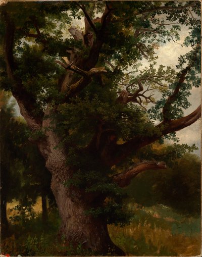Oak Tree by Johann Wilhelm Schirmer