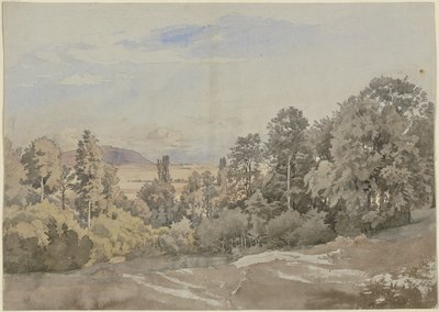 Forest with distant view by Johann Wilhelm Schirmer