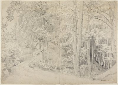 In the Beech Forest by Johann Wilhelm Schirmer