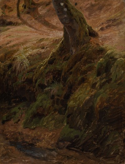 Forest Slope with Tree Trunk by Johann Wilhelm Schirmer