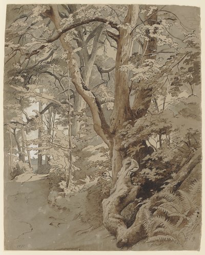 Forest Scene with an Oak and Fern by Johann Wilhelm Schirmer