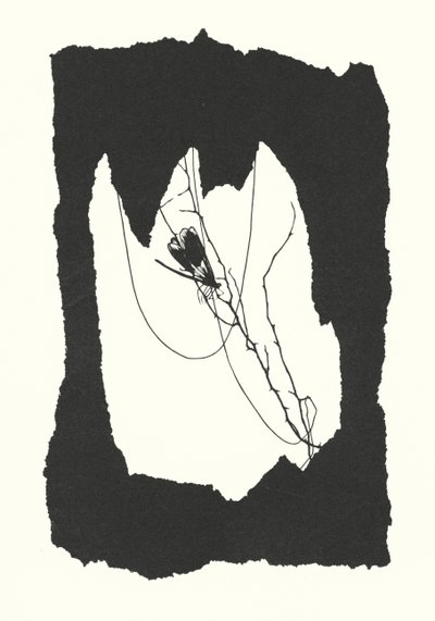 Johanna Beckmann silhouette by Johanna Beckmann