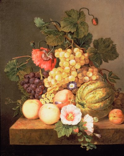 Still Life with Fruit by Johannes Cornelis Bruyn