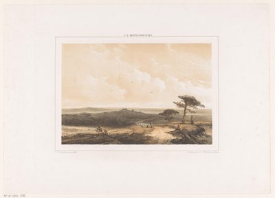 Heathland with Resting Walker and Shepherd with Flock by Johannes Franciscus Hoppenbrouwers