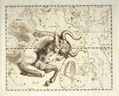 Taurus, constellation of Taurus, engraving from celestial atlas Firmamentum Sobiescianum sive Uronographia, by Johann Hevelius by Johannes Hevelius
