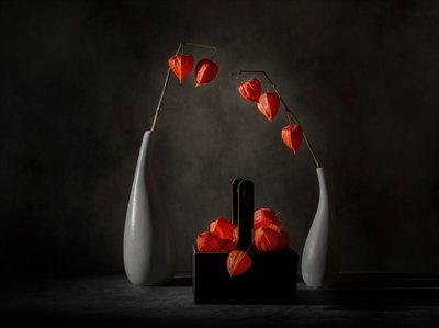Dramatic Chinese Lanterns by John-Mei Zhong