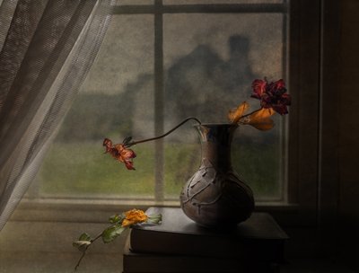 Dried Roses Window View by John-Mei Zhong