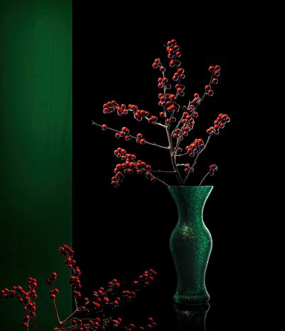 Elegant Winter Berries by John-Mei Zhong