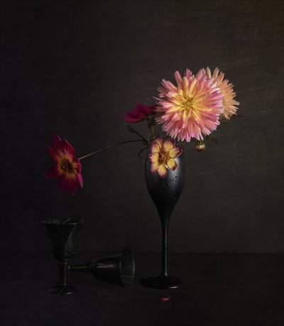 Moody Dahlia Still Life by John-Mei Zhong