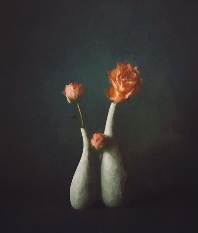 Moody Rose Vases by John-Mei Zhong
