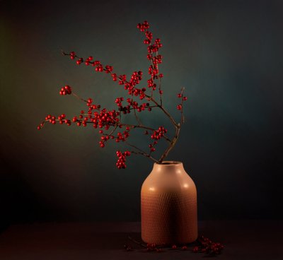Winter Berries Display by John-Mei Zhong