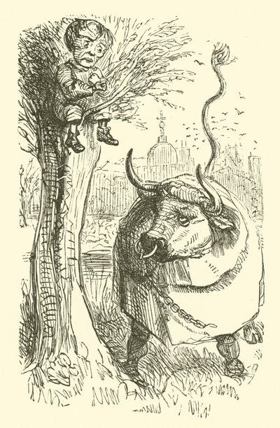 Bull and Boy by John (after) Leech