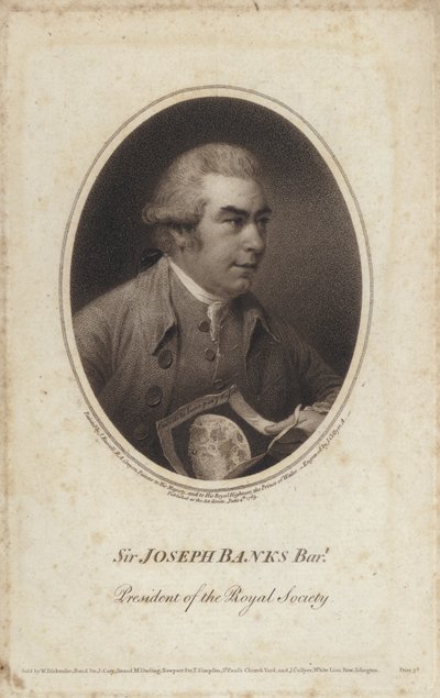 Sir Joseph Banks, English Naturalist, Botanist and President of the Royal Society by John (after) Russell