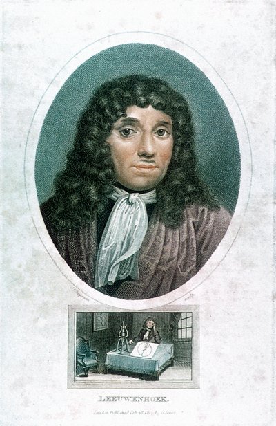 Anton van Leeuwenhoek, Dutch Microscopist by John Chapman